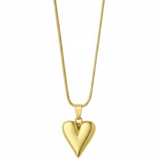 Collier Cœur Dôme Chaîne Serpent en Acier Inoxydable